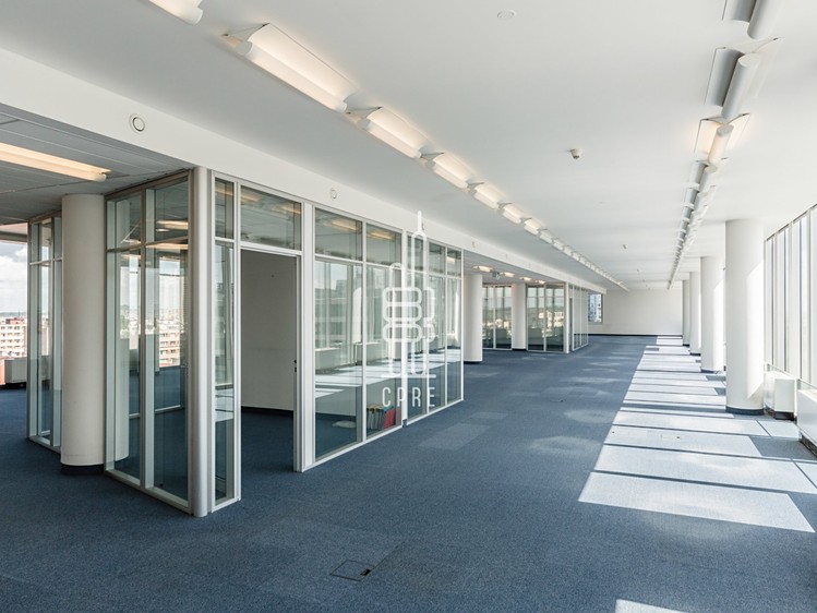Pronájem komerčního prostoru, 250 m² (9 z 11)