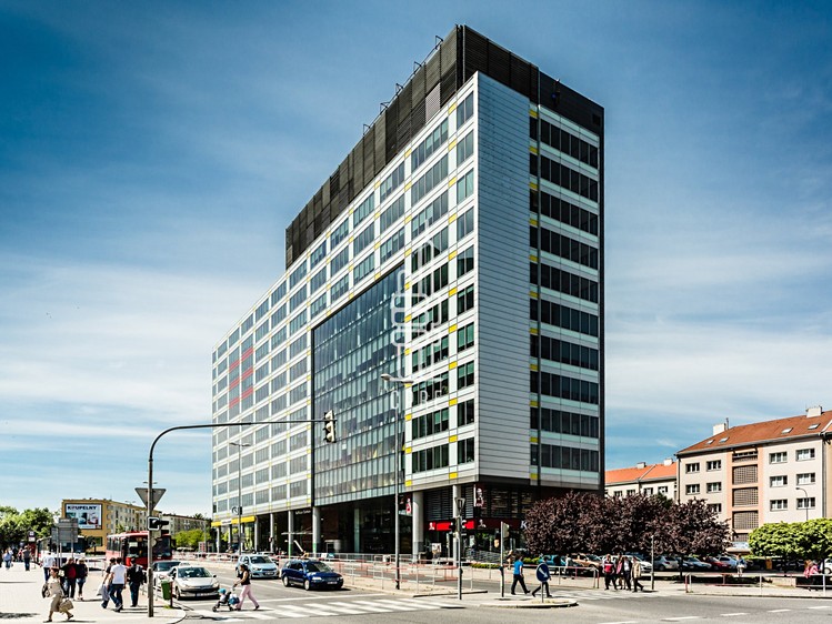 Pronájem komerčního prostoru, 250 m² (1 z 11)