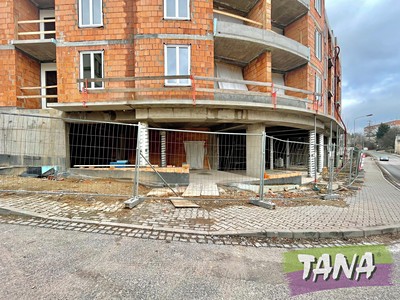 Pronájem obchodního prostoru 335 m²