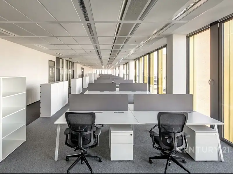 Pronájem kanceláře 535 m², Praha – náhled fotky 3