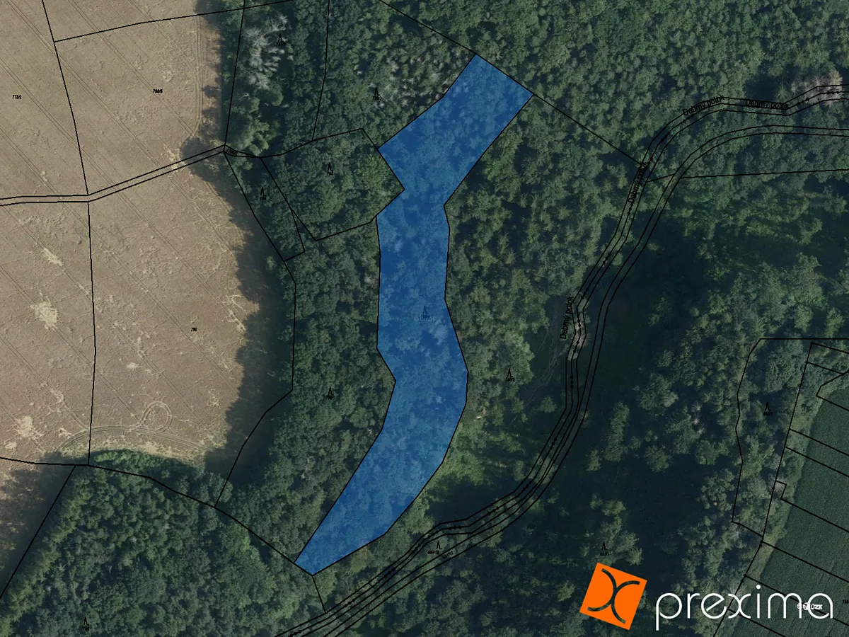 Prodej podílu 1/10 lesa 1020 m²