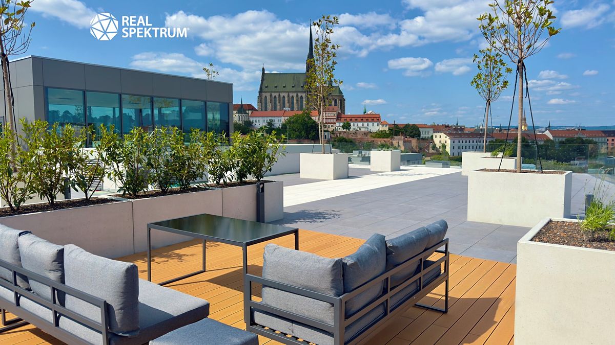 Pronájem kanceláře 660 m² – fotografie 4