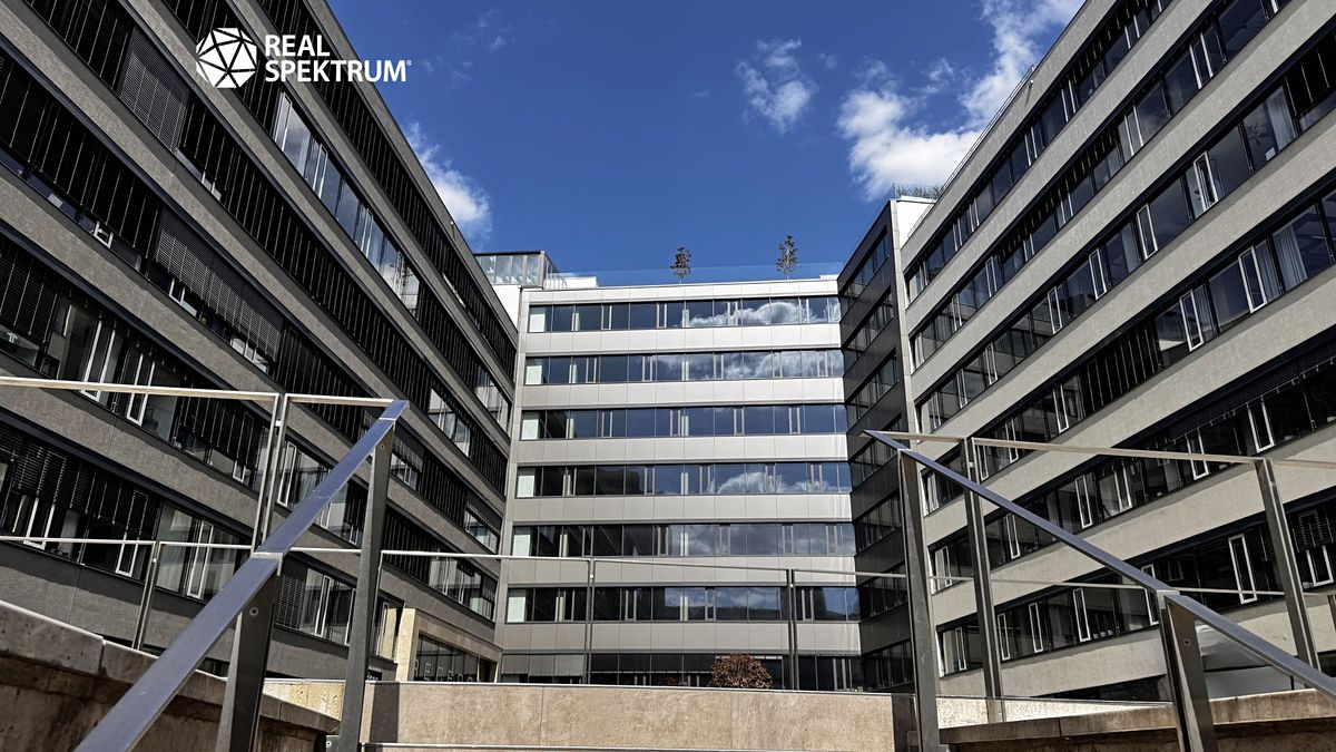 Pronájem kanceláře 410 m² – fotografie 4