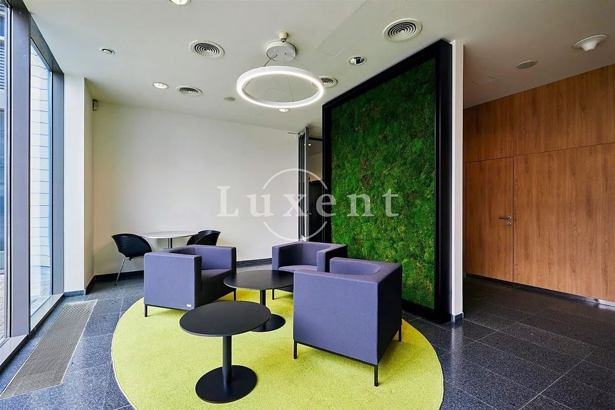 Pronájem kanceláře 516 m² – fotografie 5