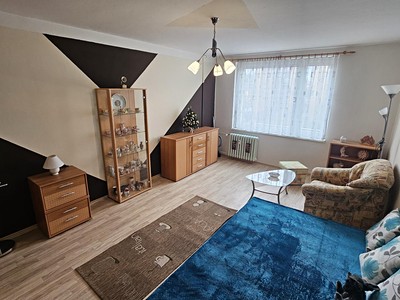 Pronájem bytu 1+1 47 m² (Jednopodlažní)