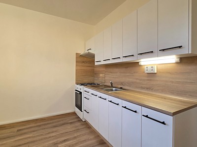Pronájem bytu 1+1 38 m²