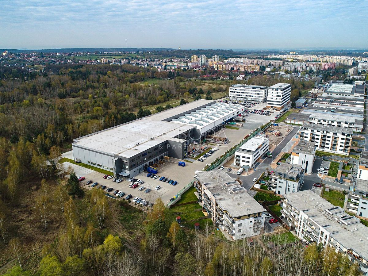 Pronájem skladového prostoru 2500 m² – fotografie 5