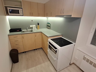 Pronájem bytu 1+1 31 m²