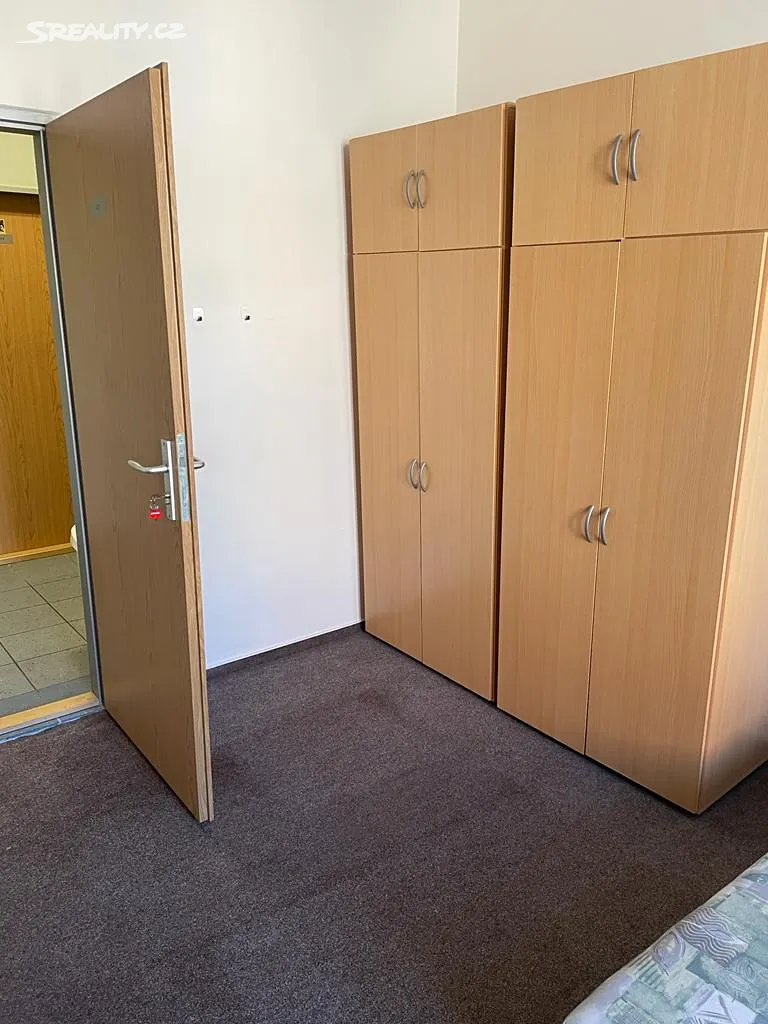 Pronájem bytu pokoje 15 m² - Widok 3