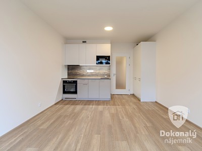 Pronájem bytu 1+kk 32 m²