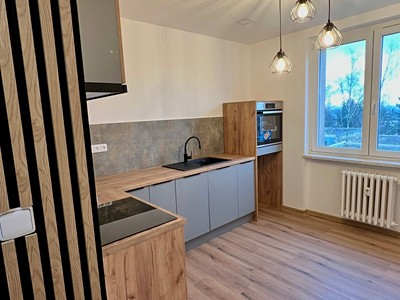 Prodej bytu 1+1 40 m² (Jednopodlažní)