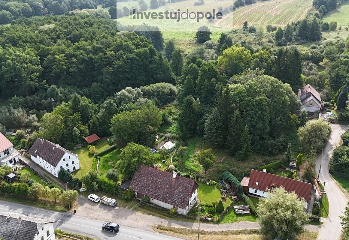 Prodej louky 21884 m² – fotografie 2