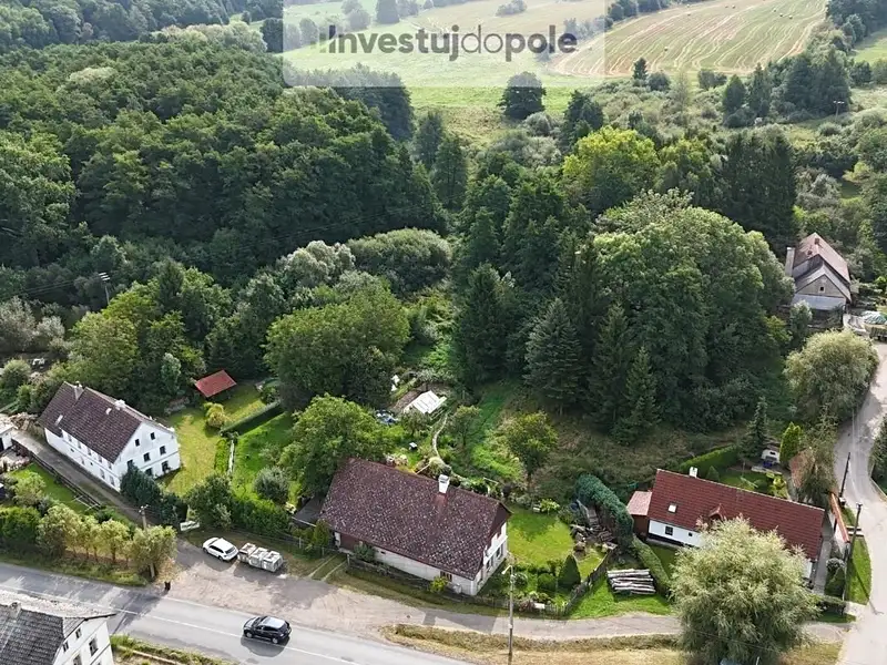 Prodej louky 21884 m², Žandov – náhled fotky 2