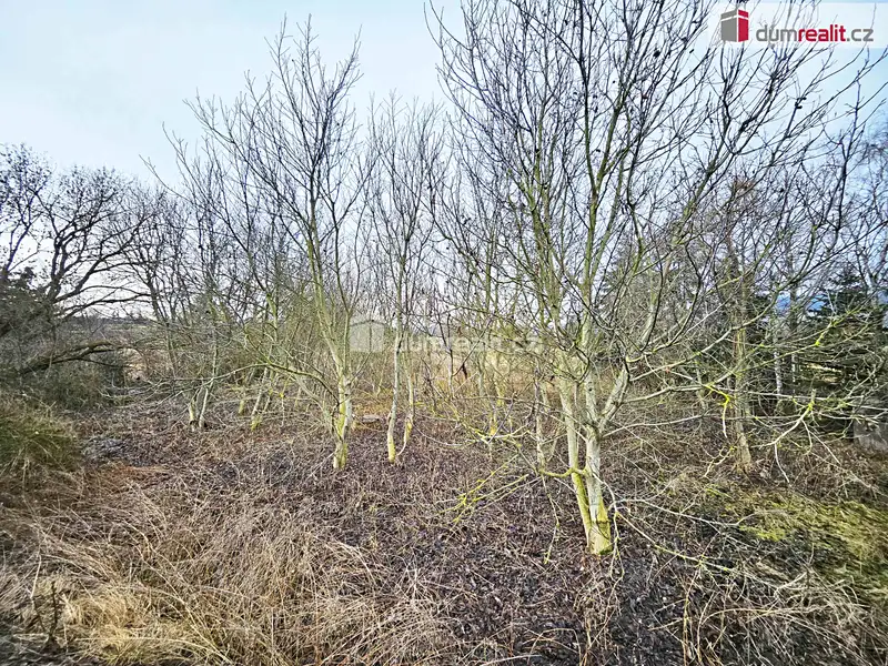 Prodej pole 1549 m², Sulejovice – náhled fotky 3