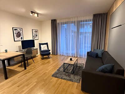 Pronájem bytu 1+kk 37 m² (Jednopodlažní)