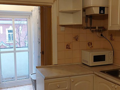 Pronájem bytu 1+1 35 m² (Jednopodlažní) — photo 4