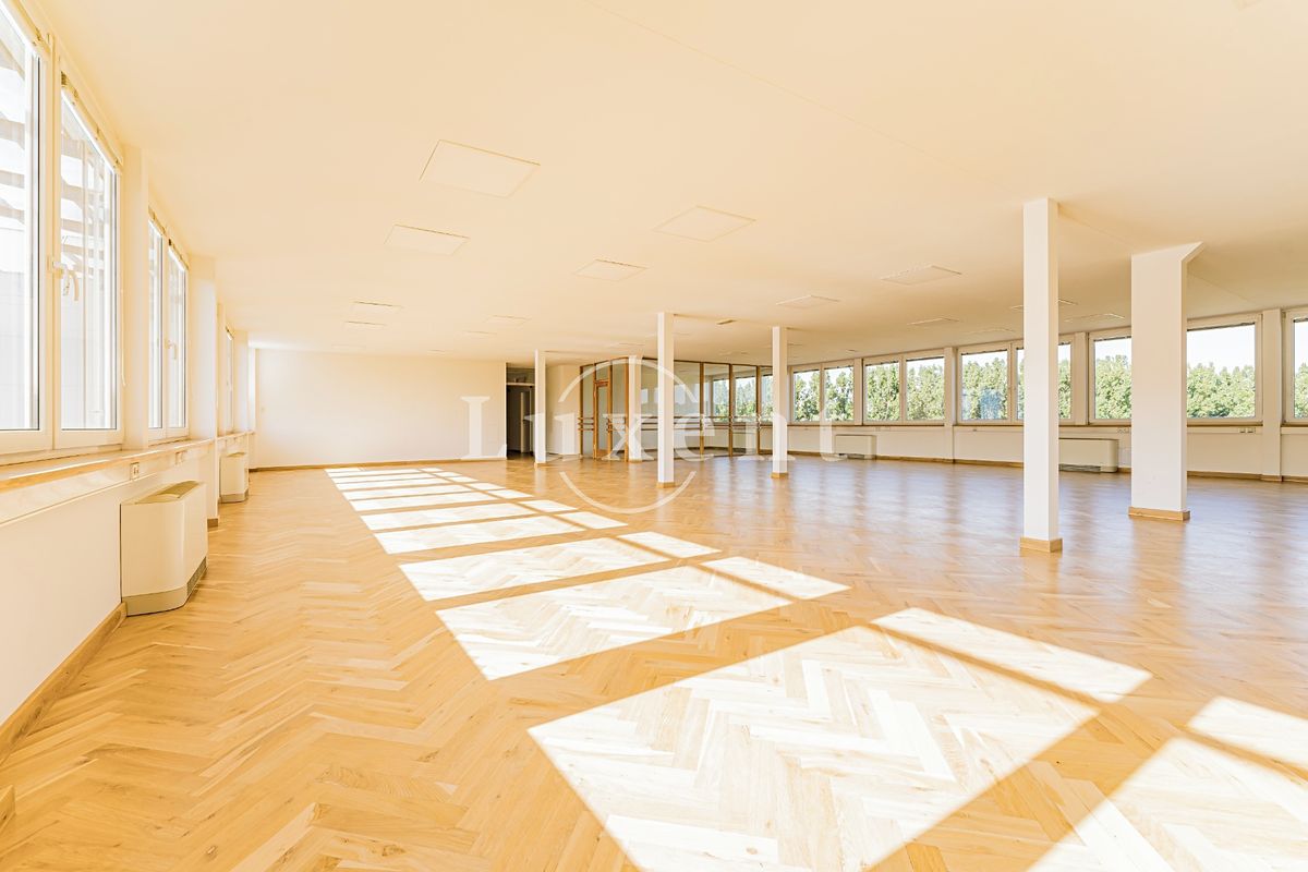 Pronájem kanceláře 257 m² – fotografie 4