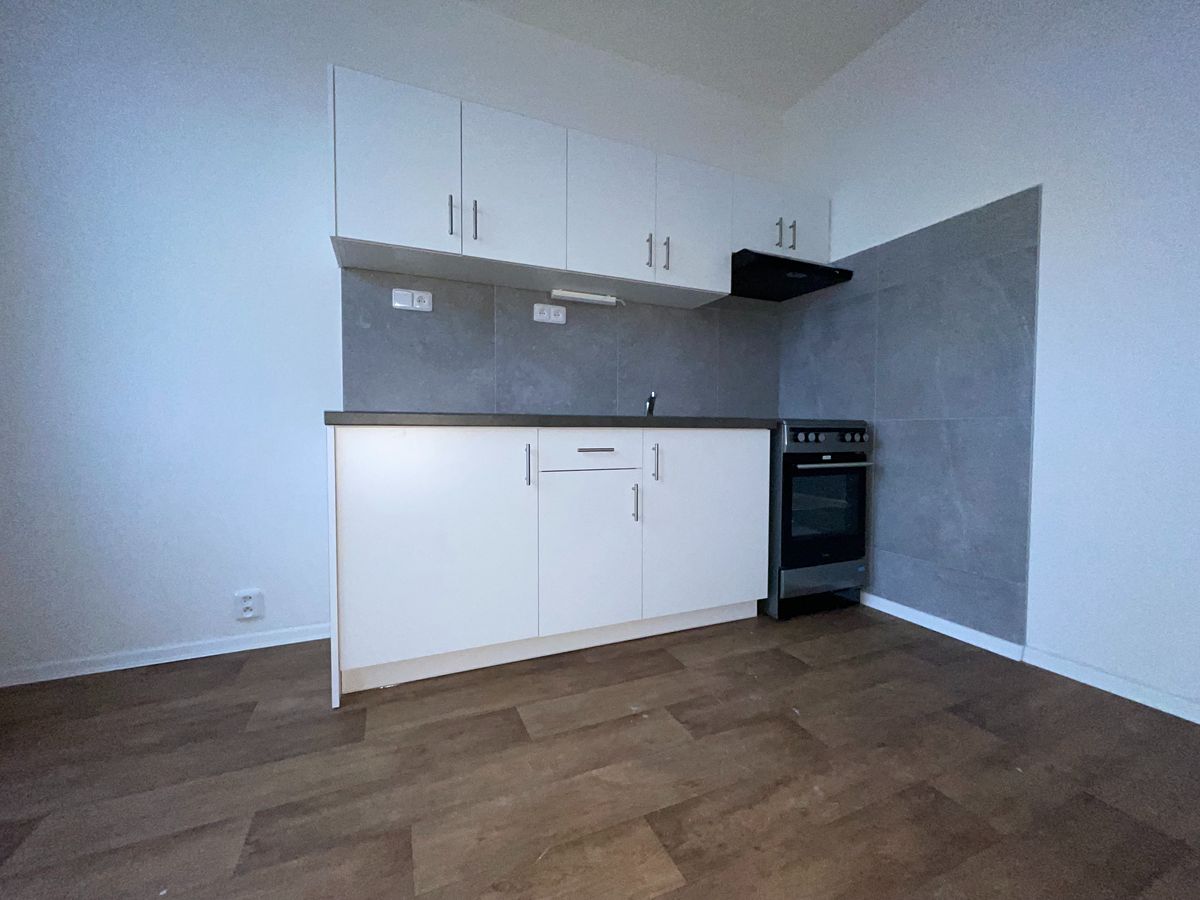 Pronájem bytu 1+1 41 m²