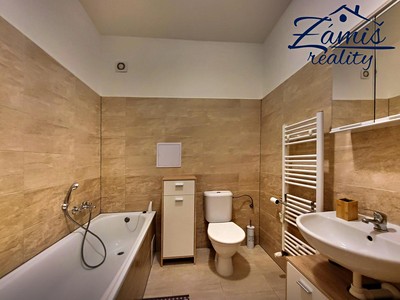 Pronájem bytu 1+kk 35 m² (Jednopodlažní) — photo 4