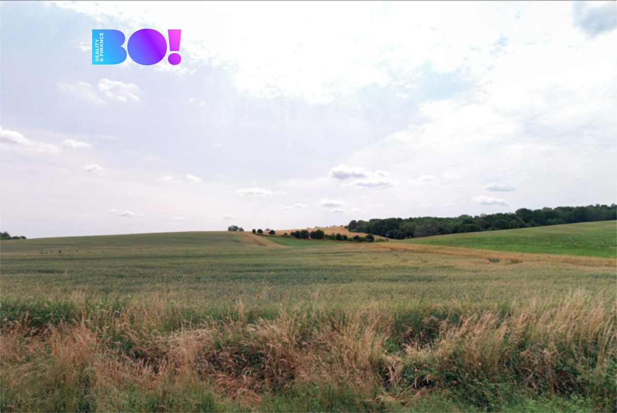 Prodej pole 5104 m² – fotografie 3
