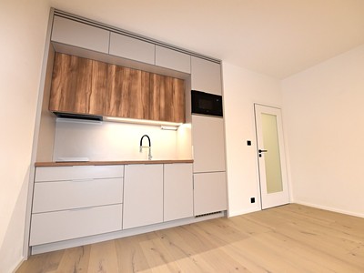 Pronájem bytu 1+kk 34 m²