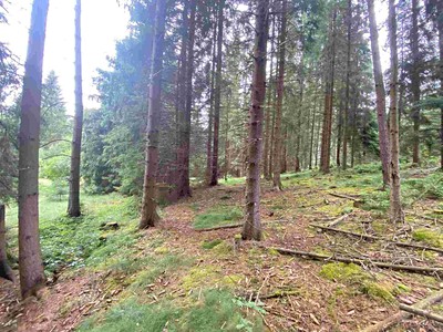 Ділянка на продаж, 1 440 м² (3 з 7)