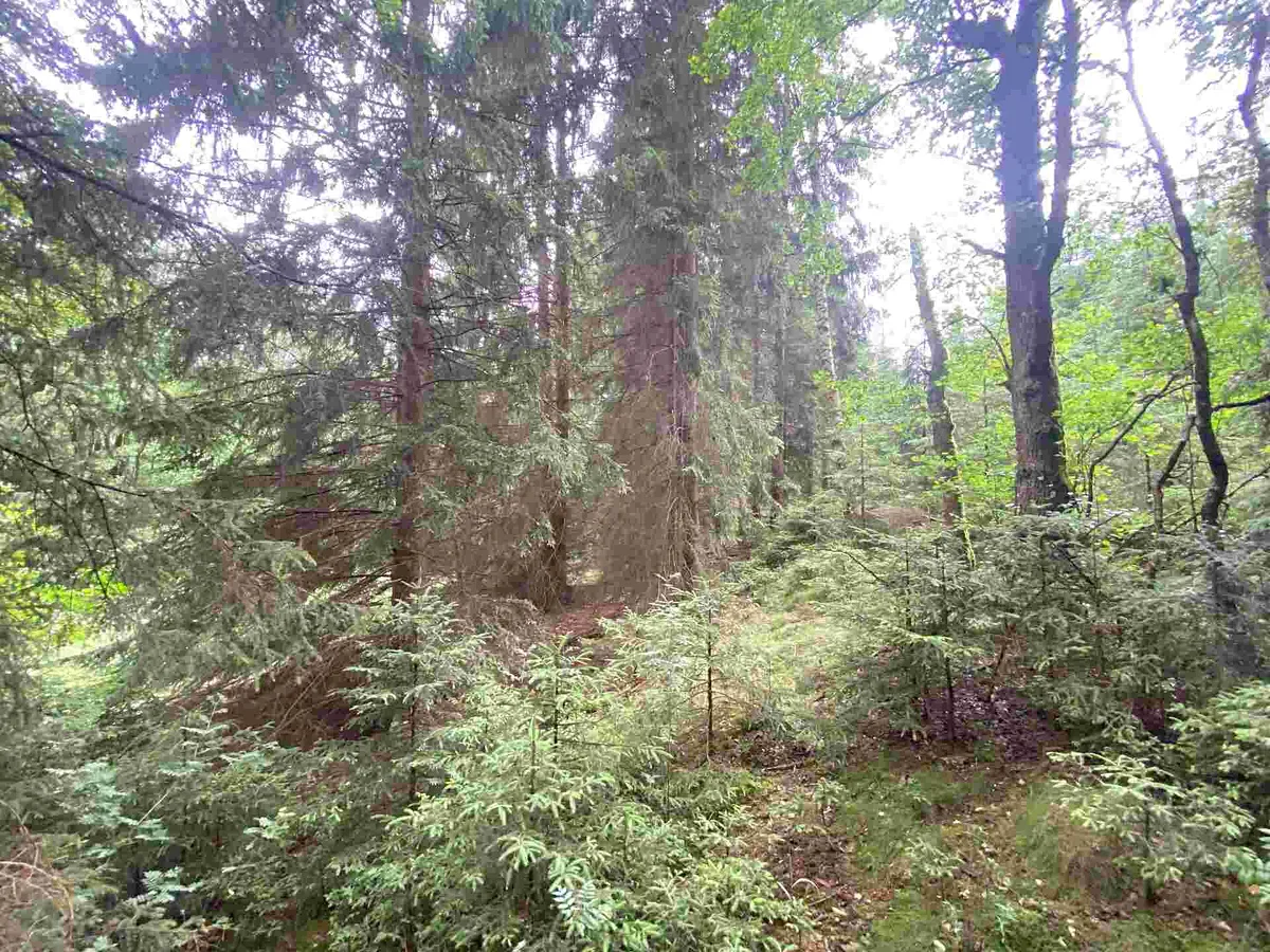 Prodej pole 1440 m²
