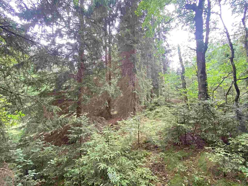 Prodej pole 1440 m², Krásná – náhled fotky 1