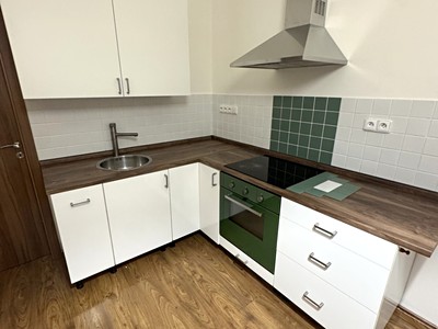 Pronájem bytu 1+1 43 m²