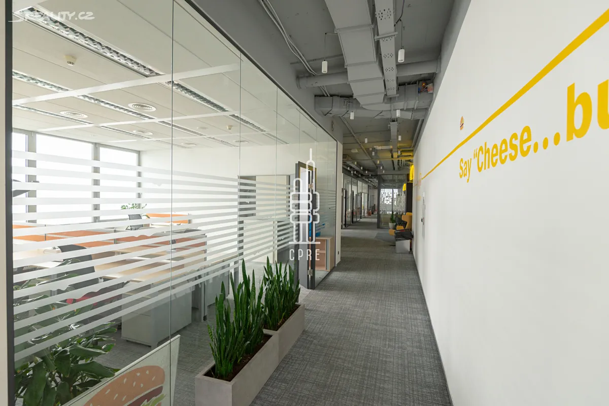Pronájem kanceláře 1261 m² – pohled 3