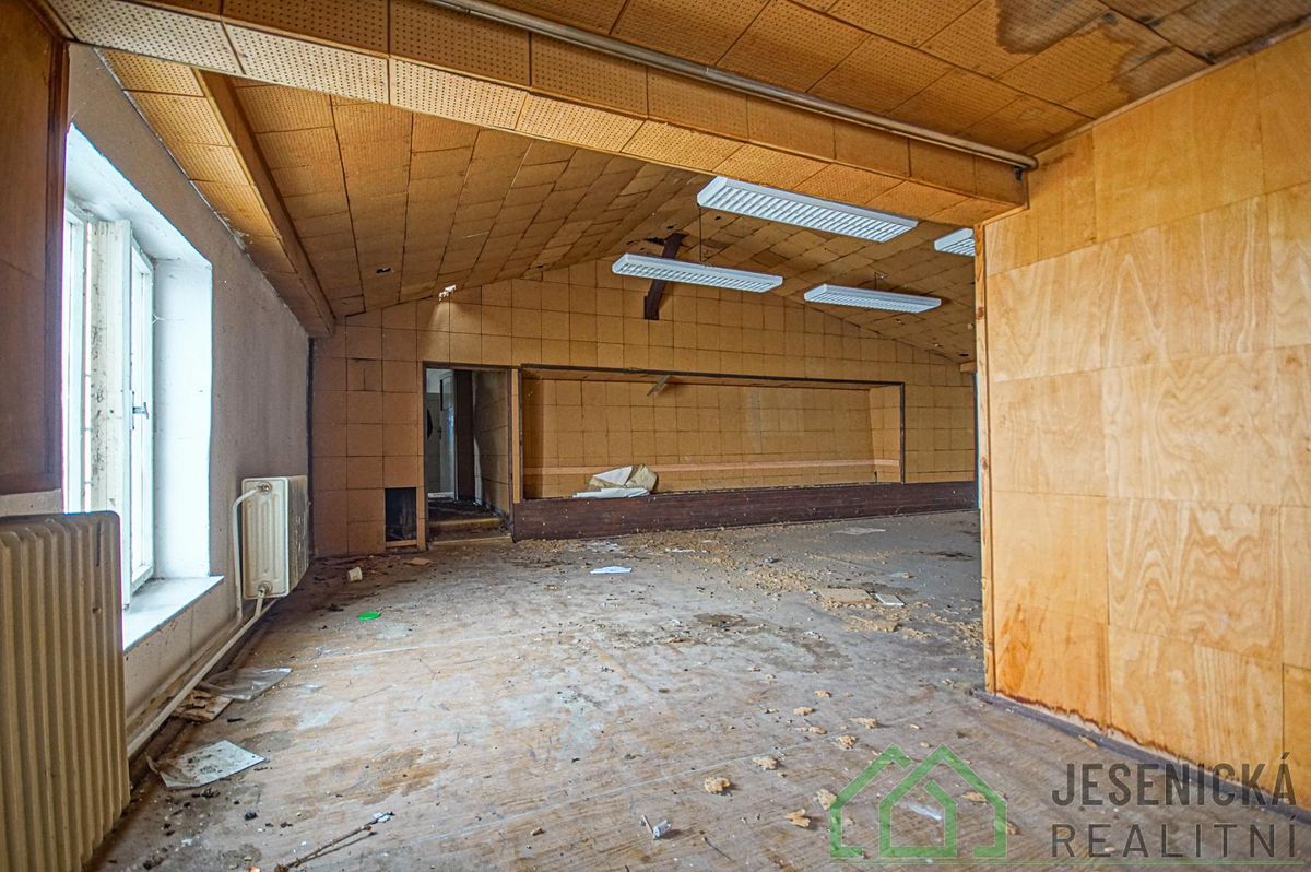 Prodej rodinného domu 790 m², pozemek 484 m² – fotografie 3