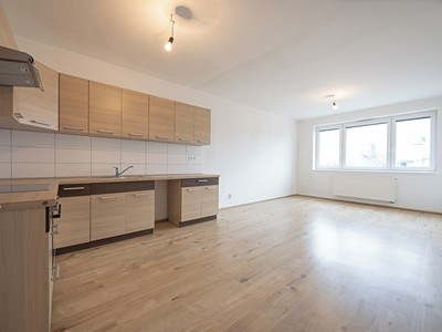 Pronájem bytu 2+kk 49 m² (Jednopodlažní)