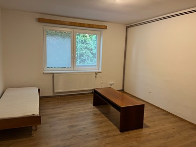 Pronájem bytu 1+kk 26 m² (Jednopodlažní)