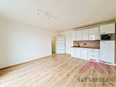 Pronájem bytu 2+kk 42 m² (Jednopodlažní)