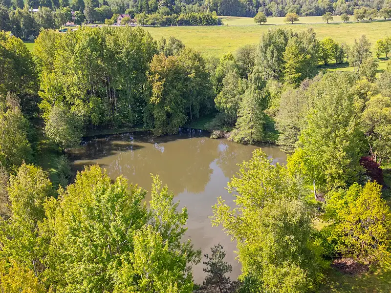 Prodej pozemku 4288 m², Krajková – náhled fotky 1