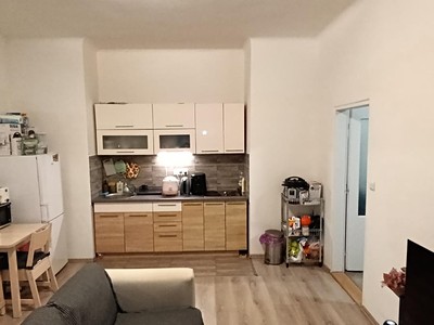 Pronájem bytu 2+kk 50 m² (Jednopodlažní)