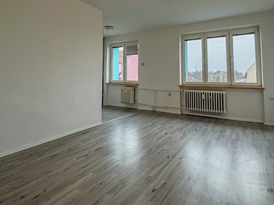 Pronájem bytu 1+kk 30 m² (Jednopodlažní)