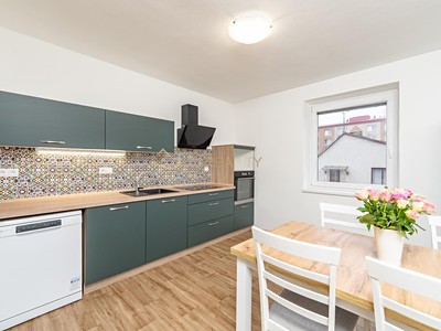 Pronájem bytu 2+1 64 m²