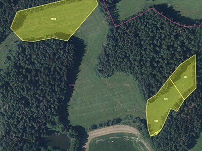 Prodej  pole 27 668 m²