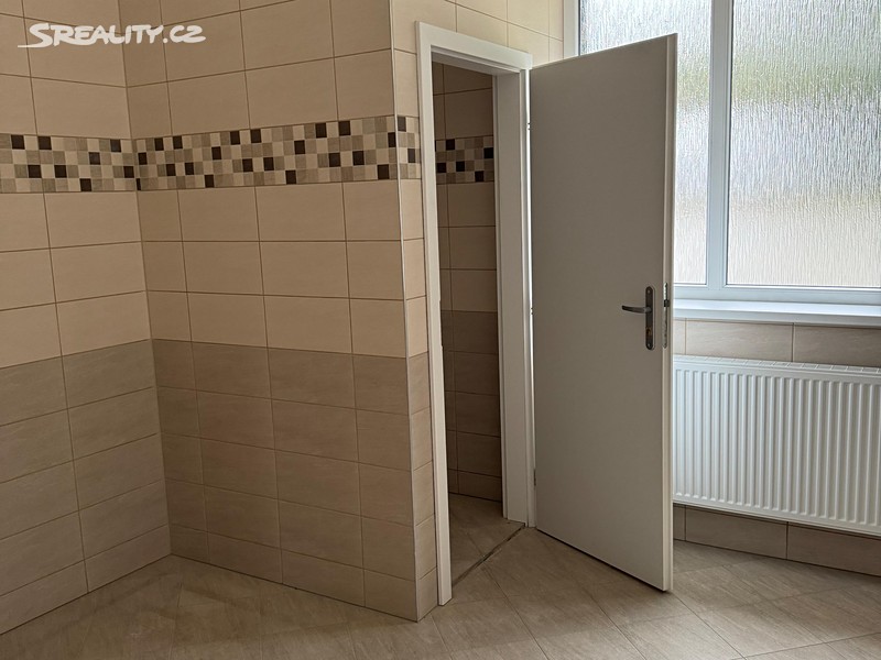 Pronájem skladového prostoru 130 m² – další