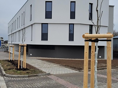 Pronájem bytu 1+kk 32 m² (Jednopodlažní)