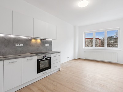 Prodej bytu 2+kk 50 m² (Jednopodlažní)