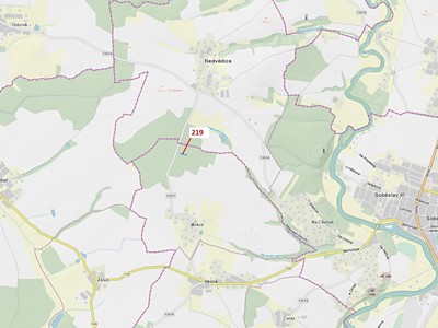 Dražba  lesa 1 673 m²