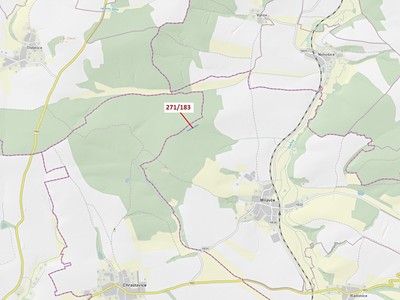 Dražba  lesa 2 398 m²