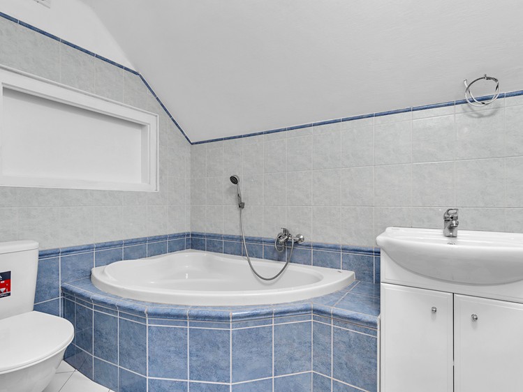 Haus zum Kauf, 375 m² (3 von 14)