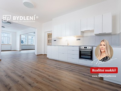 Pronájem bytu 3+kk 157 m² (Jednopodlažní)