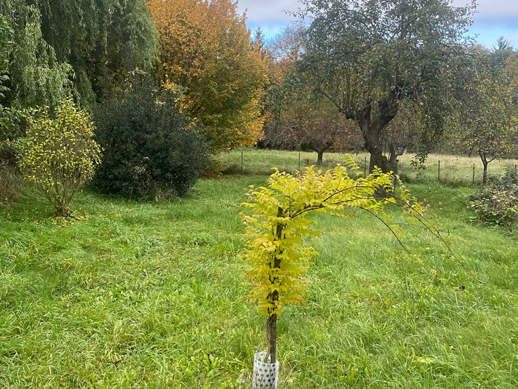 Prodej domu, 150 m² (21 z 23)