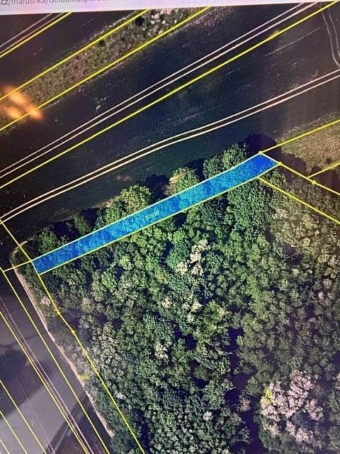 Prodej lesa 910 m²