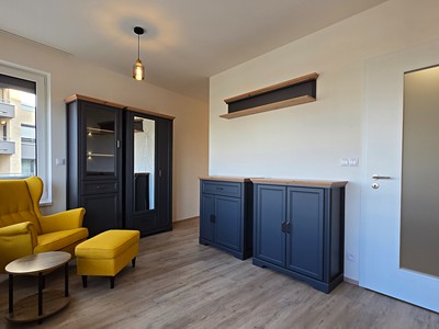 Pronájem bytu 1+kk 31 m² (Jednopodlažní)