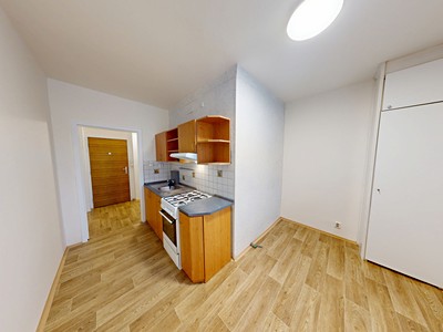 Pronájem bytu 1+1 40 m²